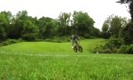 Kleiner Stunt mit dem Bike
