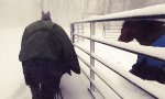 Movie : Pferde haben keinen Bock auf Schnee
