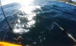 Funny Video : Ungebetener Besuch beim Kajak-Fischen