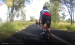 Lustiges Video : Känguru hoppst Radfahrer um
