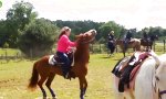 Movie : Horse Body Slam