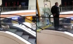 Movie : Gassigehen für ganz schlaue Faule