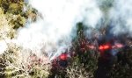 Movie : Lavastrom im Wald