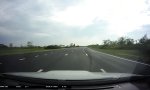 Funny Video : Möwenbombe voraus