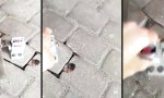 Funny Video : Workaround