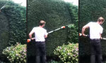 Entspannt die Hecke stutzen