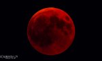 Funny Video - Der Blutmond ganz nah