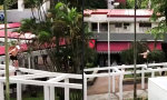 Movie : Mal schnell über die Promenade hopsen