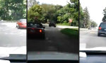 Lustiges Video - Hit & Run (& Verfolgung)
