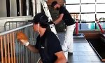 Lustiges Video - Kleiner Profi-Trick