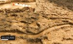 Lustiges Video - Das Murmelrennen