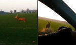 Movie : Rechts überholen...