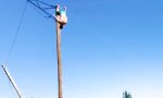 Schöner Backflip