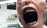 Funny Video : Tut dir was weh?