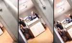 Funny Video : Kleiner Streit am Freitag Morgen
