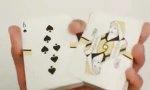 Lustiges Video : Fächer a La Card