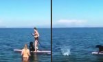 Funny Video - Hol das Stöckchen!