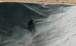 Lustiges Video - Sehr plane Plane