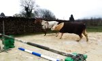 Lustiges Video : Bock auf Sport