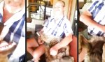 Funny Video : Genießer-Hyäne