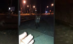 Movie : Mann, du hast den Fuchs gerufen