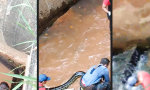 Feuerwehr rettet Anakonda