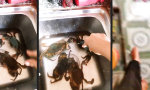 Movie : Flucht geglückt!