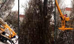 Movie : Spektakuläre Unterhaltung für den ganzen Wohnblock