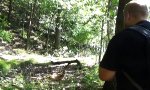 Lustiges Video : Der Natur-Barde