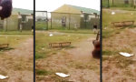 Funny Video : Parkour-Profi und das Trampolin
