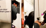 Funny Video - Door!