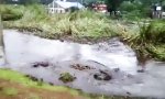 Funny Video : Loch hungrig...