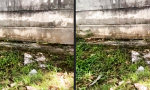 Entweder komplett ahnungslos oder eiskalt berechnend