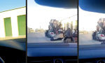 Lustiges Video : Voll bepackt mit all den Sachen...