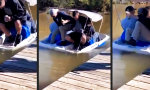 Movie : Tretboot leicht überladen
