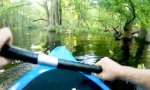 Funny Video : Überraschung bei Paddeltour im Sumpf
