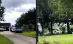 Funny Video : Im Prinzip ist das Dach jetzt sturmsicher