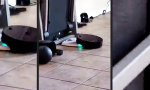 Funny Video : Roomba vergeht sich an der Körperwaage