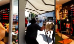 Funny Video : Sie benimmt sich wie die Kuh im Schuhladen