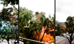 Movie : Laserschwertkampf in Baumkrone