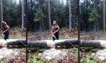 Lustiges Video : Aufricht-Arbeit beim Forst
