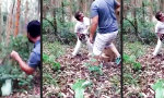 Funny Video : Baum fällt!