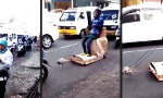 Funny Video : Ab geht’s mit 1VS