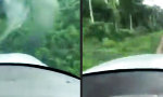 Lustiges Video - Im Dschungel landen