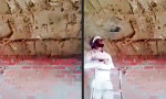 Lustiges Video - Nur nicht die Decke auf den Kopf fallen lassen