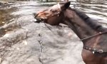 Movie : Richtiger Spaß zeigt sich vorne... und hinten