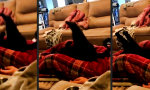 Movie : Chillin´ with the Kaddse