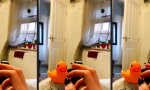 Lustiges Video - Es kann nur einen Vogel im Haus geben