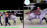 Funny Video - Ist er verletzt? Noch nicht!