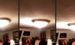 Funny Video - Party? Welche Party?